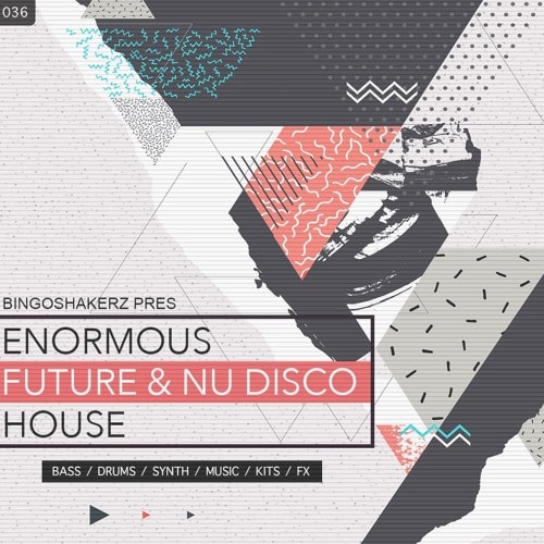 BS036 Enormous Future & Nu Disco House WAV